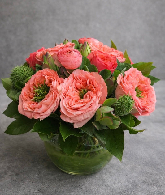 Coral Garden Elegance