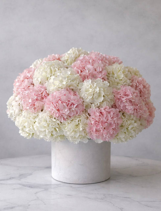 Luxury Pink & White Hydrangea Flower Box | Blush Hydrangea – Las Vegas